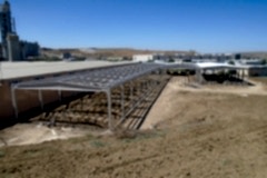 Yataş (Ankara/2017)